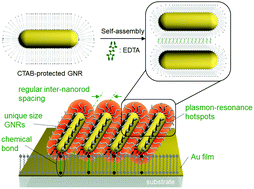 Graphical abstract: Laying down of gold nanorods monolayers on solid surfaces for surface enhanced Raman spectroscopy applications