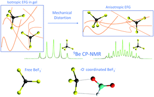 Graphical abstract: Identification of beryllium fluoride complexes in mechanically distorted gels using quadrupolar split 9Be NMR spectra resolved with solution-state selective cross-polarization