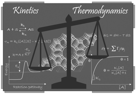 Graphical abstract: Factors controlling the molecular modification of one-dimensional zeolites