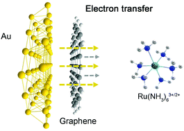 Graphical abstract: Effect of a Au underlayer on outer-sphere electron transfer across a Au/graphene/electrolyte interface