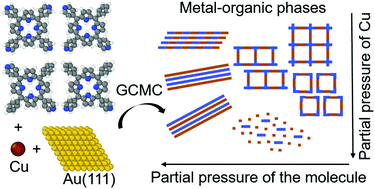 Graphical abstract: Simple lattice model of self-assembling metal–organic layers of pyridyl-substituted porphyrins and copper on Au(111) surface