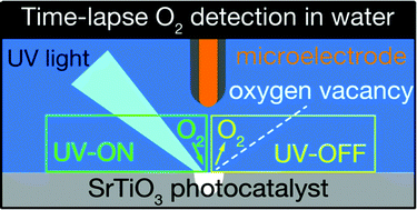 Graphical abstract: Microelectrode-based transient amperometry of O2 adsorption and desorption on a SrTiO3 photocatalyst excited under water