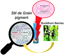 Graphical abstract: Electrochemical surface-enhanced Raman spectroscopy (EC-SERS): a tool for the identification of polyphenolic components in natural lake pigments