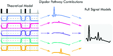 Graphical abstract: Dipolar pathways in dipolar EPR spectroscopy