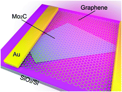 Graphical abstract: A graphene–Mo2C heterostructure for a highly responsive broadband photodetector