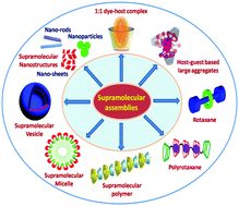 Graphical abstract: An overview from simple host–guest systems to progressively complex supramolecular assemblies