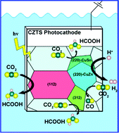 Graphical abstract: Facet-dependent CO2 reduction reactions on kesterite Cu2ZnSnS4 photo-electro-integrated electrodes