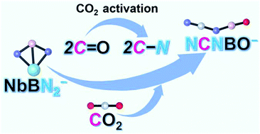 Graphical abstract: Conversion of carbon dioxide to a novel molecule NCNBO− mediated by NbBN2− anions at room temperature