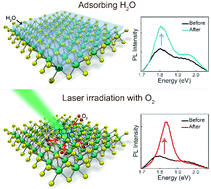 Graphical abstract: Photoluminescence of monolayer MoS2 modulated by water/O2/laser irradiation