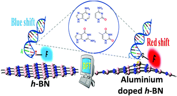 Graphical abstract: Exploiting the optical sensing of fluorophore-tagged DNA nucleobases on hexagonal BN and Al-doped BN sheets: a computational study