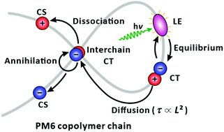 Graphical abstract: Intrachain photophysics of a donor–acceptor copolymer