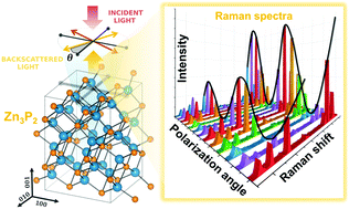 Graphical abstract: Raman tensor of zinc-phosphide (Zn3P2): from polarization measurements to simulation of Raman spectra