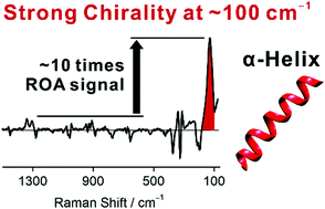 Graphical abstract: Intense chiral signal from α-helical poly-l-alanine observed in low-frequency Raman optical activity