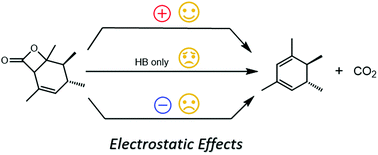Graphical abstract: Electrostatic effects in N-heterocyclic carbene catalysis: revealing the nature of catalysed decarboxylation