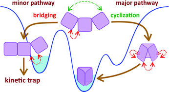 Graphical abstract: Cyclization or bridging: which occurs faster is the key to the self-assembly mechanism of Pd6L3 coordination prisms