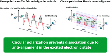 Graphical abstract: Circularly polarized light-induced potentials and the demise of excited states