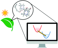 Graphical abstract: Computational elucidations on the role of vibrations in energy transfer processes of photosynthetic complexes