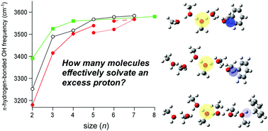 Graphical abstract: How many methanol molecules effectively solvate an excess proton in the gas phase? Infrared spectroscopy of H+(methanol)n–benzene clusters