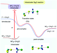Graphical abstract: Reaction mechanism of an intracluster SN2 reaction induced by electron capture