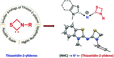 Graphical abstract: Thiazetidin-2-ylidenes as four membered N-heterocyclic carbenes: theoretical studies and the generation of complexes with N+ center