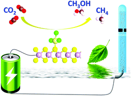 Graphical abstract: CO2 reduction on single-atom Ir catalysts with chemical functionalization