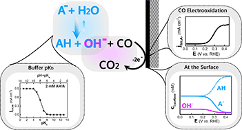 Graphical abstract: Electrolyte buffering species as oxygen donor shuttles in CO electrooxidation