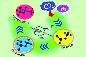 Graphical abstract: Mechanistic exploration of CO2 conversion to dimethoxymethane (DMM) using transition metal (Co, Ru) catalysts: an energy span model