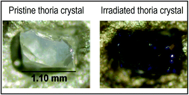 Graphical abstract: Inferring relative dose-dependent color center populations in proton irradiated thoria single crystals using optical spectroscopy