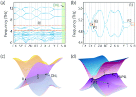 Graphical abstract: Hourglass Weyl and Dirac nodal line phonons, and drumhead-like and torus phonon surface states in orthorhombic-type KCuS