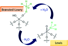 Graphical abstract: Interconversion between Lewis and Brønsted–Lowry acid sites on vanadia-based catalysts