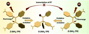 Graphical abstract: Oxidative evolution of Z/E-diaminotetraphenylethylene
