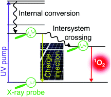 Graphical abstract: Fundamental electronic changes upon intersystem crossing in large aromatic photosensitizers: free base 5,10,15,20-tetrakis(4-carboxylatophenyl)porphyrin