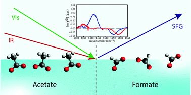 Graphical abstract: Molecular orientation of small carboxylates at the water–air interface
