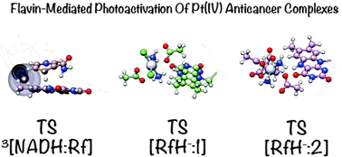 Graphical abstract: Flavin-mediated photoactivation of Pt(iv) anticancer complexes: computational insights on the catalytic mechanism