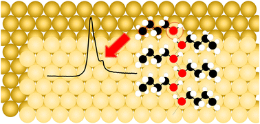 Graphical abstract: Desorption trends of small alcohols and the disruption of intermolecular interactions at defect sites on Au(111)
