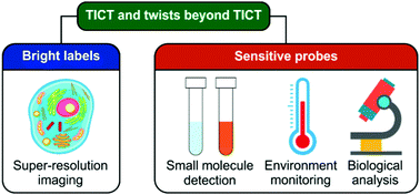 Graphical abstract: Twisted intramolecular charge transfer (TICT) and twists beyond TICT: from mechanisms to rational designs of bright and sensitive fluorophores
