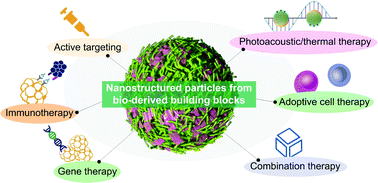 Graphical abstract: Nanostructured particles assembled from natural building blocks for advanced therapies