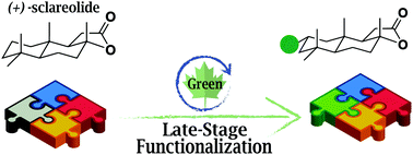 Graphical abstract: Green chemistry meets medicinal chemistry: a perspective on modern metal-free late-stage functionalization reactions