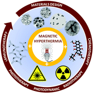 Graphical abstract: Magnetic nanoparticles and clusters for magnetic hyperthermia: optimizing their heat performance and developing combinatorial therapies to tackle cancer