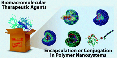 Graphical abstract: Polymer nano-systems for the encapsulation and delivery of active biomacromolecular therapeutic agents