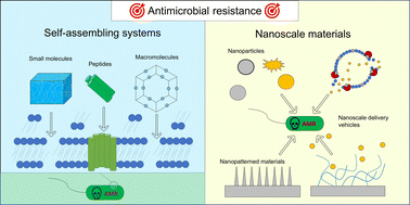 Graphical abstract: Advancements in antimicrobial nanoscale materials and self-assembling systems