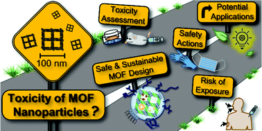Graphical abstract: Toxicity of metal–organic framework nanoparticles: from essential analyses to potential applications