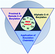 Graphical abstract: Metal-catalysed C–H bond activation and borylation