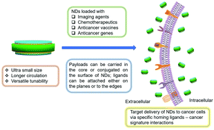 Graphical abstract: Nanodiscs: a versatile nanocarrier platform for cancer diagnosis and treatment