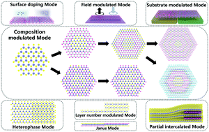 Graphical abstract: Lateral layered semiconductor multijunctions for novel electronic devices