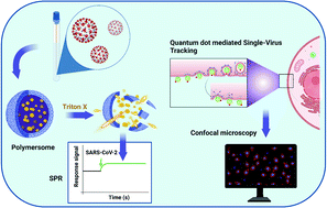 Graphical abstract: Nanomaterials for virus sensing and tracking