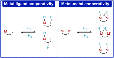 Graphical abstract: Cooperative approaches in catalytic hydrogenation and dehydrogenation