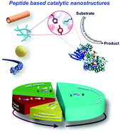 Graphical abstract: Systems chemistry of peptide-assemblies for biochemical transformations