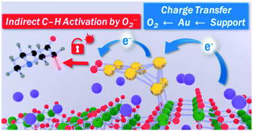 Graphical abstract: Mechanistic study of C–H bond activation by O2 on negatively charged Au clusters: α,β-dehydrogenation of 1-methyl-4-piperidone by supported Au catalysts