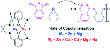 Graphical abstract: Heterodinuclear catalysts Zn(ii)/M and Mg(ii)/M, where M = Na(i), Ca(ii) or Cd(ii), for phthalic anhydride/cyclohexene oxide ring opening copolymerisation